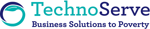 Techno Serve logo